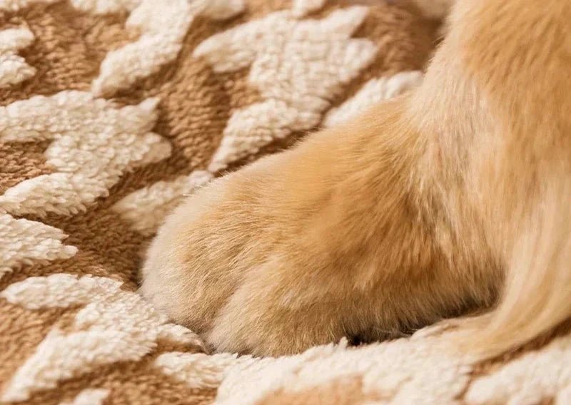 Cama Toquinha Pet Betton - Direct Ofertas