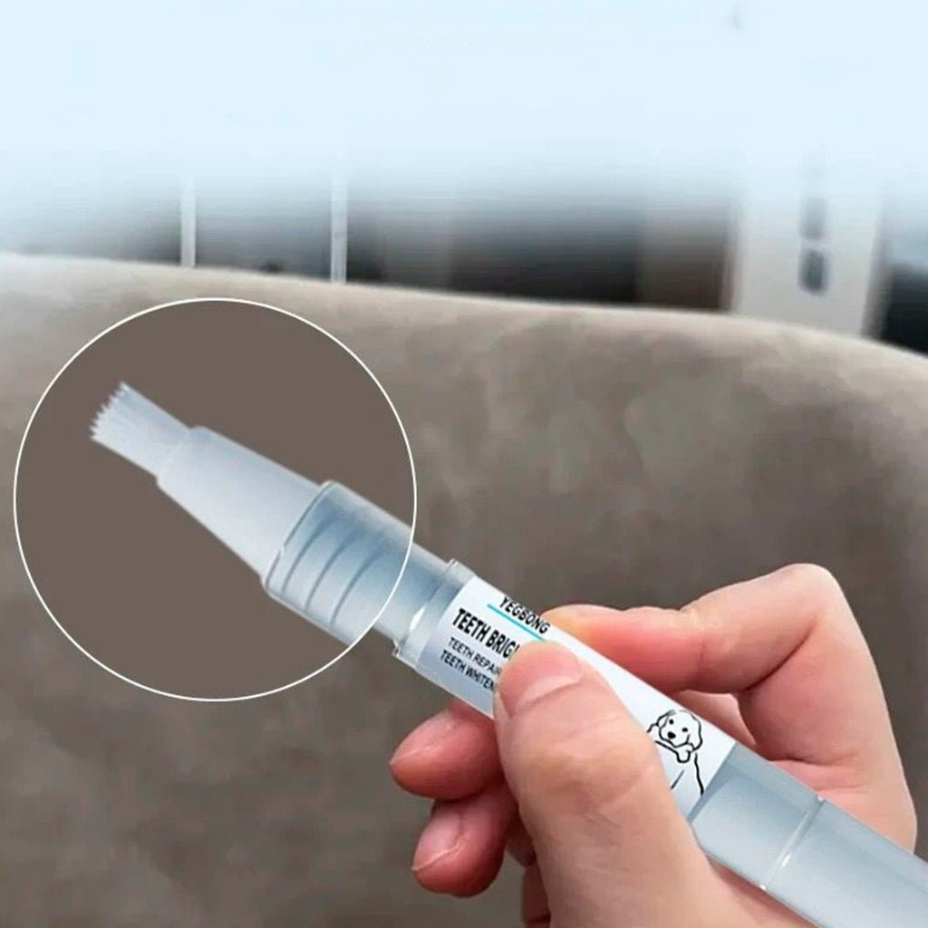 Caneta Dental para Pets – Limpa dentes amarelados, previne o tártaro e elimina o mau hálito - Direct Ofertas
