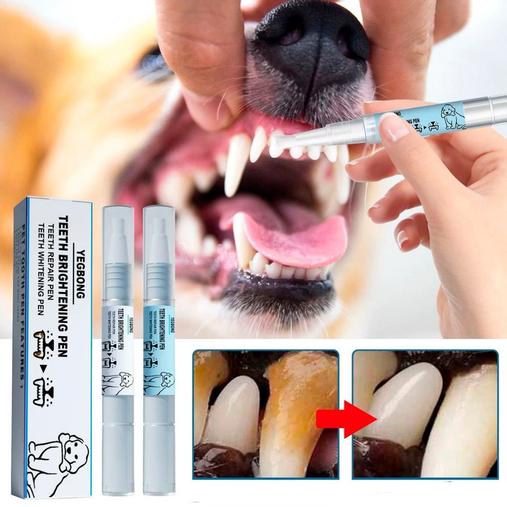 Caneta Dental para Pets – Limpa dentes amarelados, previne o tártaro e elimina o mau hálito - Direct Ofertas