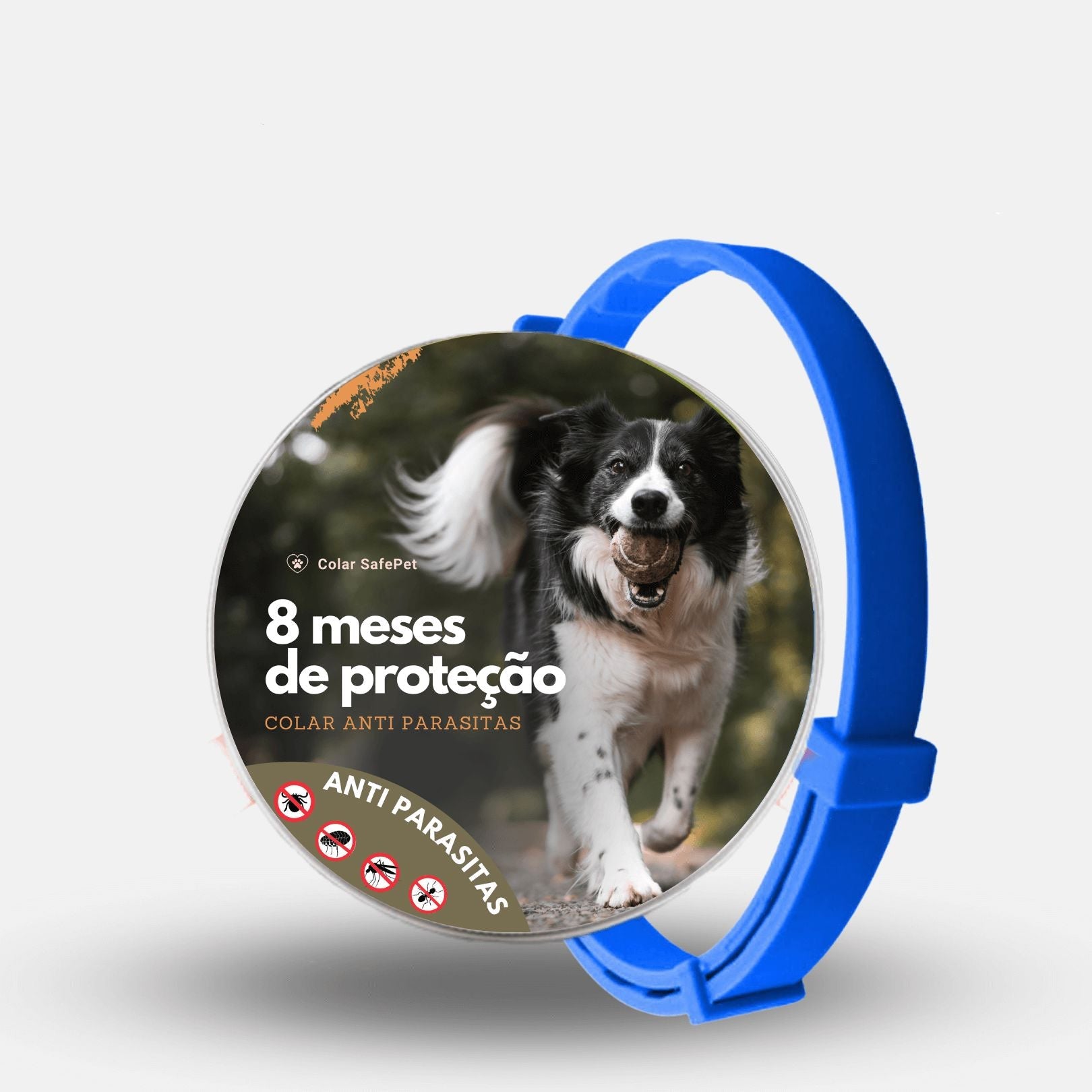 Colar Anti Pulgas e Carrapatos - Direct Ofertas