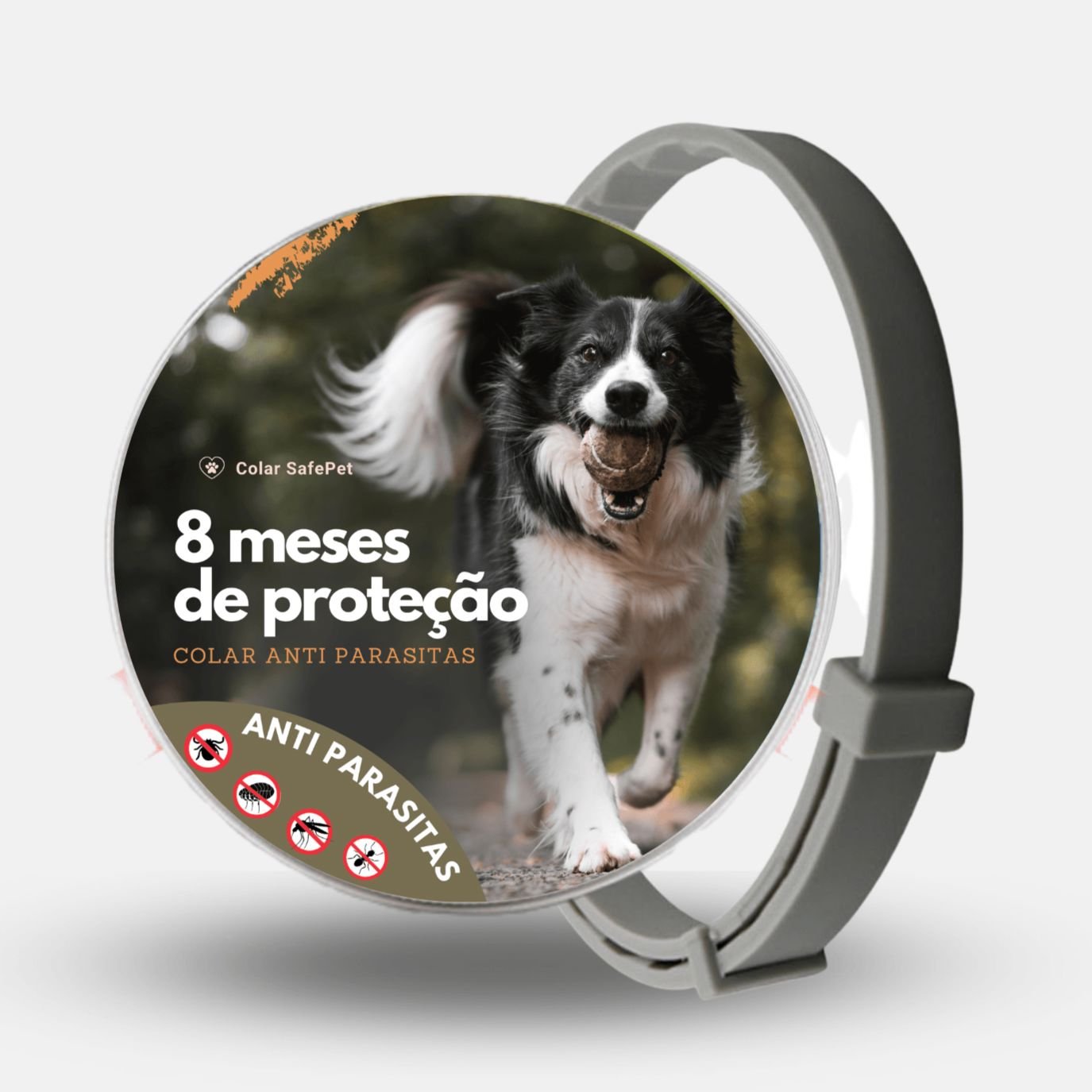 Colar Anti Pulgas e Carrapatos - Direct Ofertas