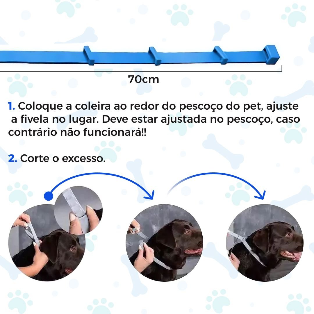 Colar Anti Pulgas e Carrapatos - Direct Ofertas
