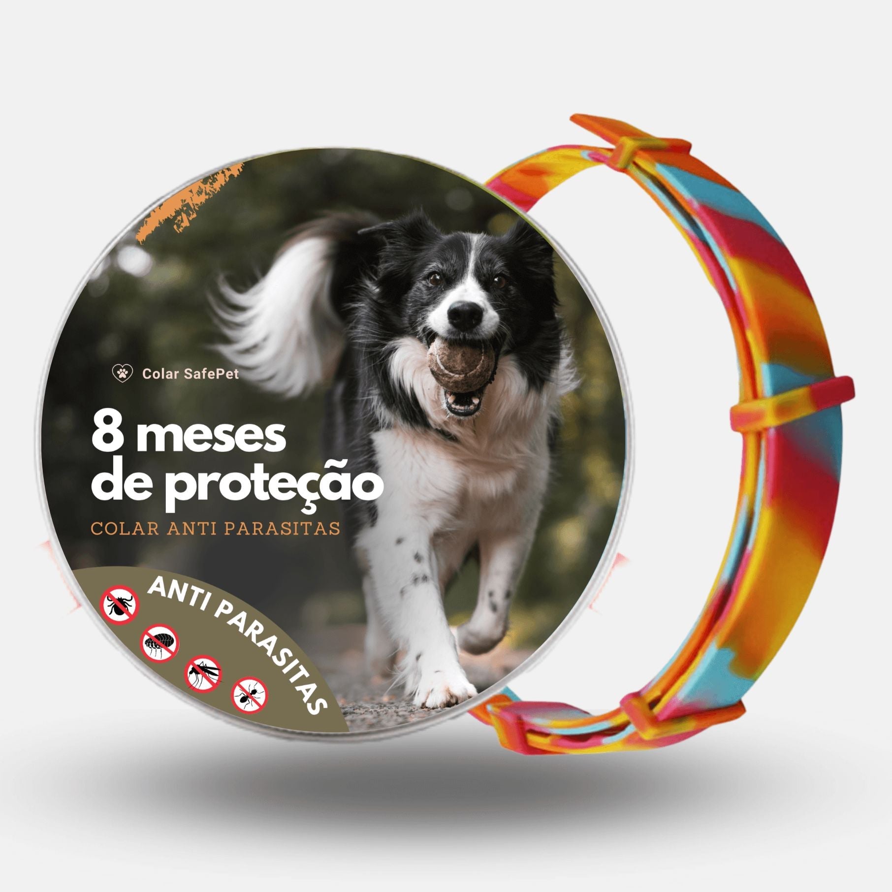 Colar Anti Pulgas e Carrapatos - Direct Ofertas
