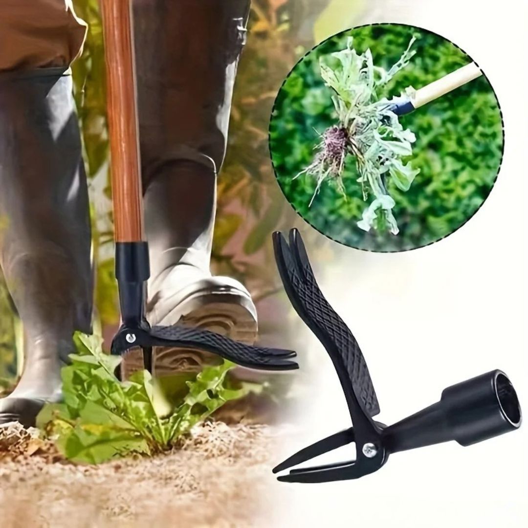 GardenClean™ - Removedor Inteligente de Ervas Daninhas - Direct Ofertas