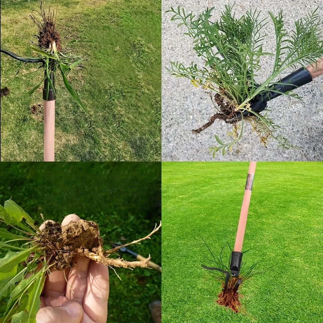GardenClean™ - Removedor Inteligente de Ervas Daninhas - Direct Ofertas