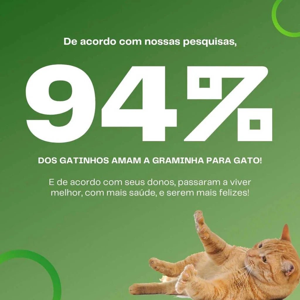 Graminha para gatos - Direct Ofertas