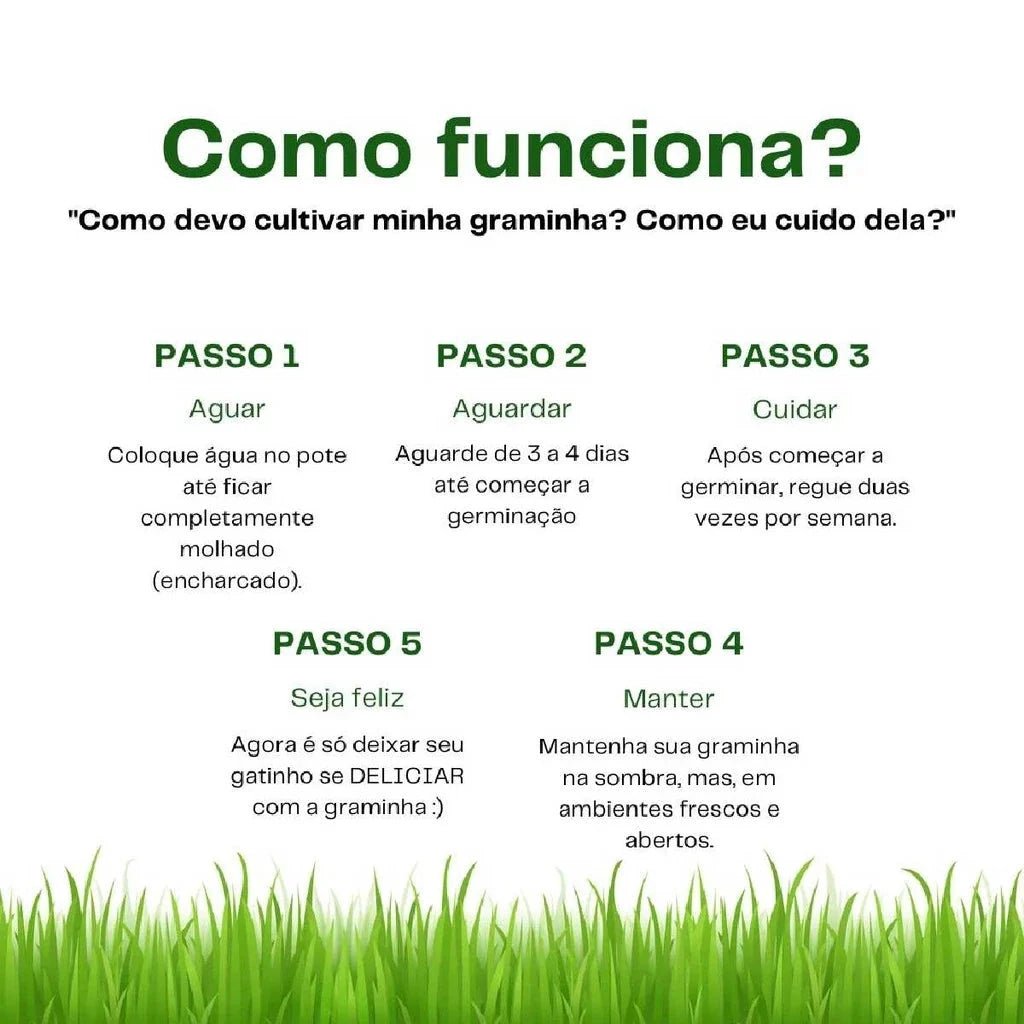 Graminha para gatos - Direct Ofertas