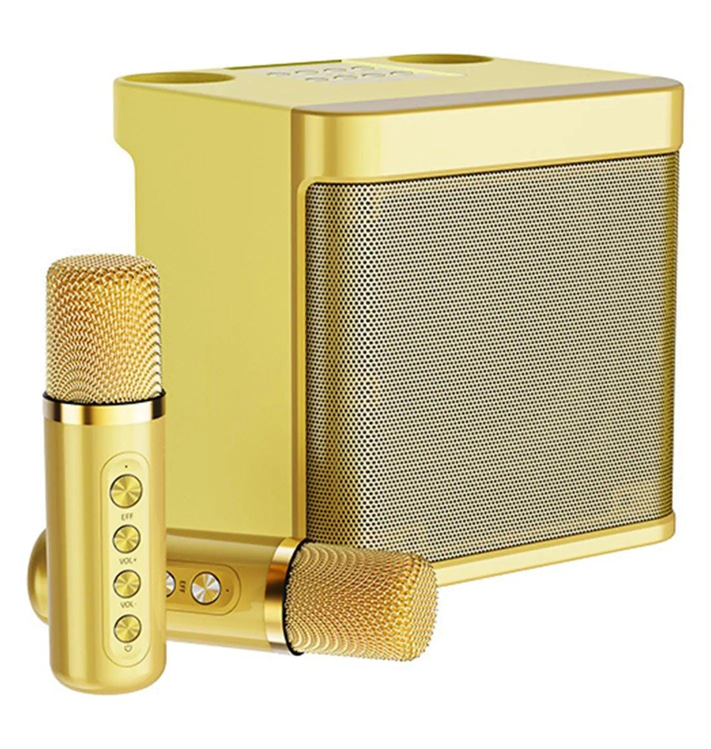 Karaokê Mbox Portátil - Dois microfones sem fio - Direct Ofertas
