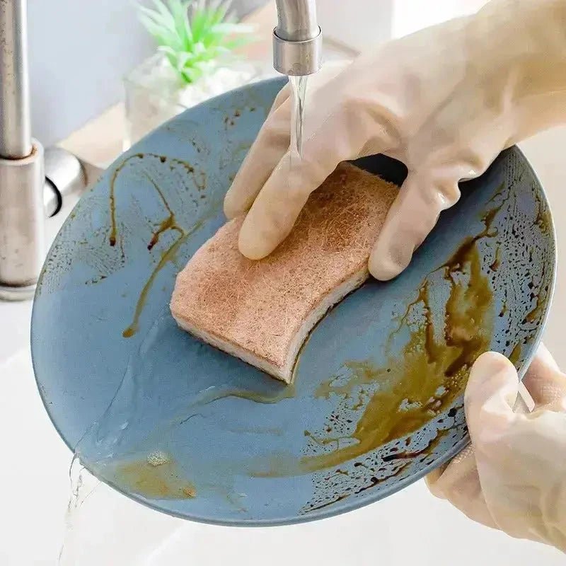 Kit 18 Esponja de Cozinha Biodegradáveis Premium (duram até 18 meses) - Direct Ofertas