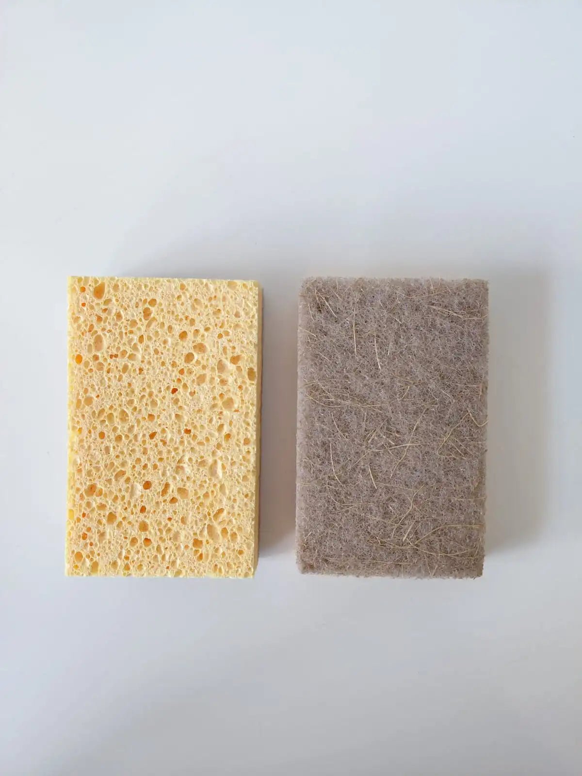 Kit Raiz Eco - 10 Esponjas Biodegradáveis - Direct Ofertas