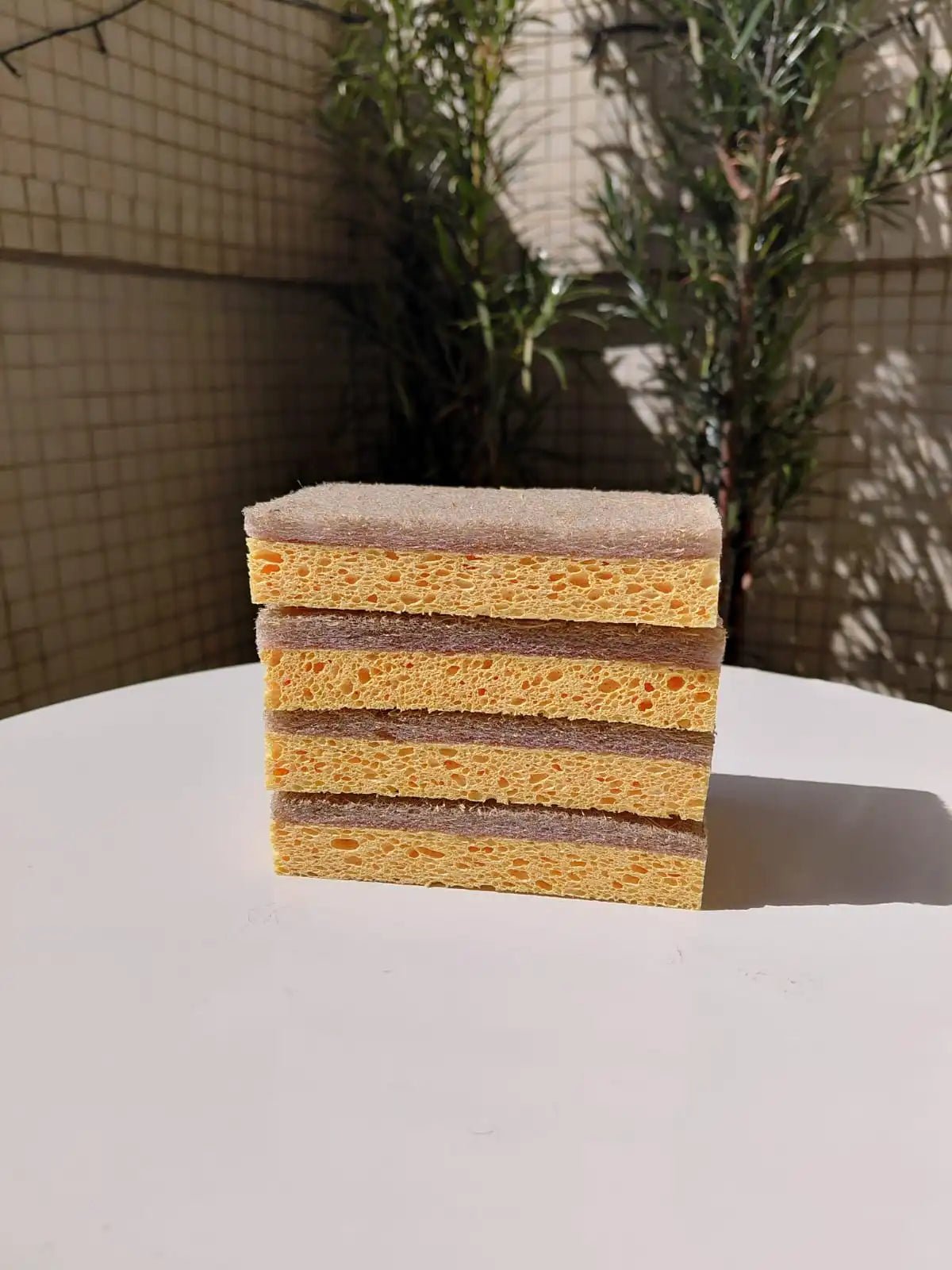 Kit Raiz Eco - 10 Esponjas Biodegradáveis - Direct Ofertas