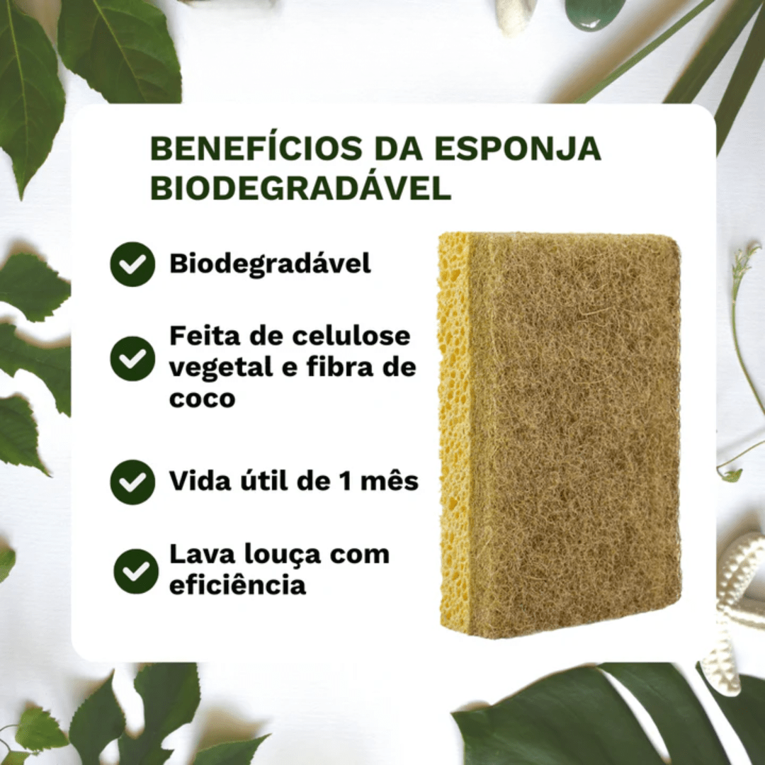 Kit Raiz Eco - 10 Esponjas Biodegradáveis - Direct Ofertas