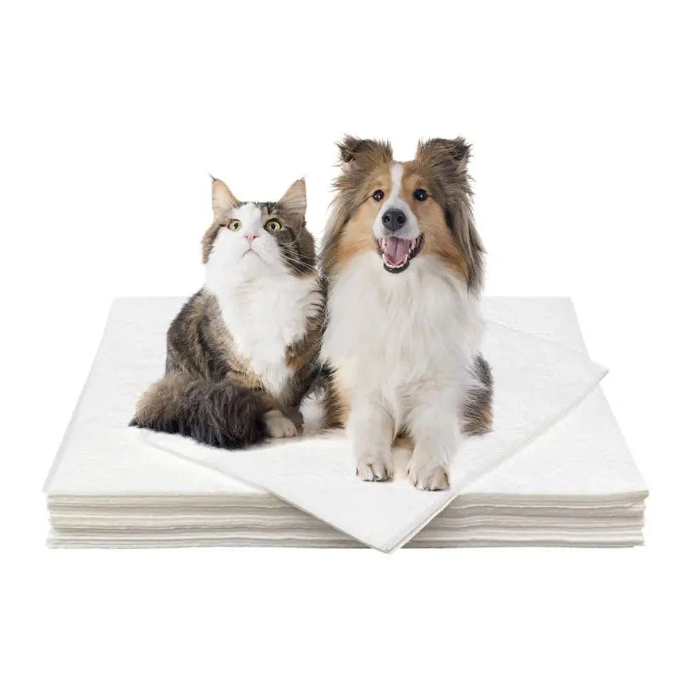 Papel Toalha Ultra Absorvente Xixipet - 50 unds - Direct Ofertas
