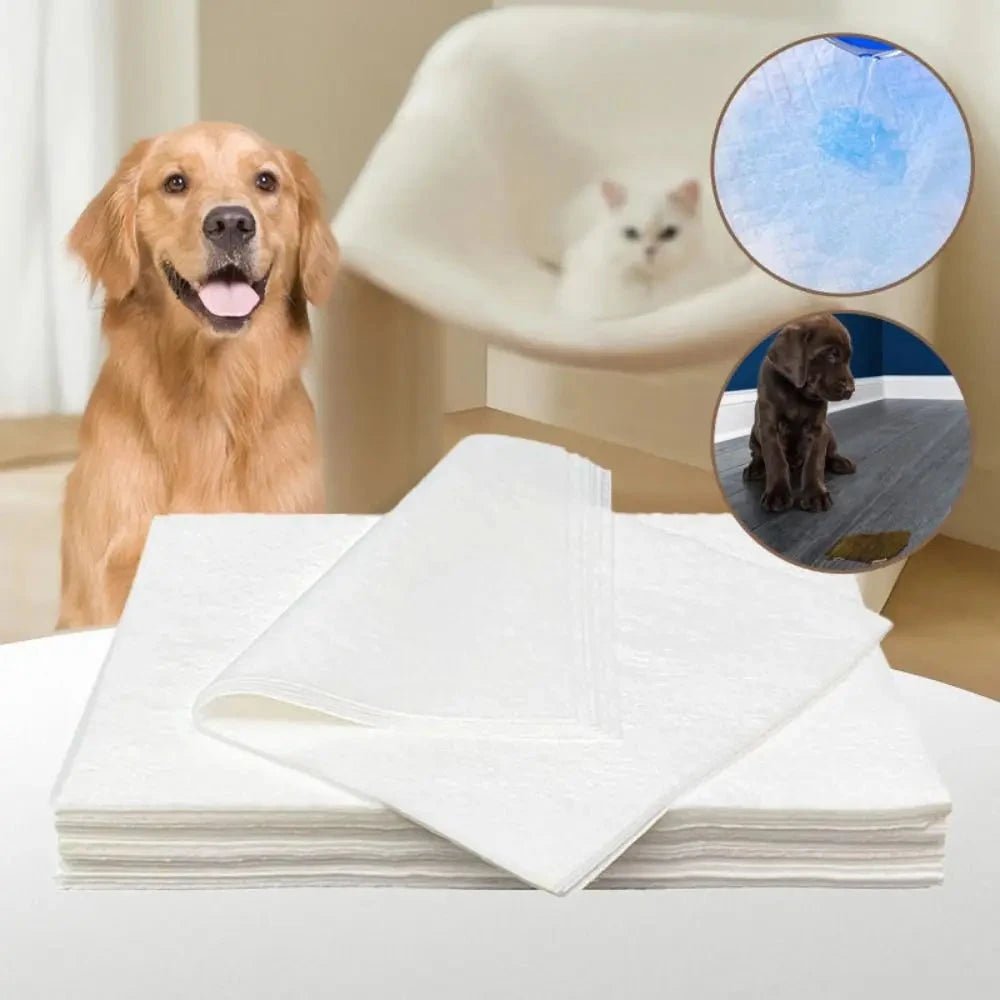 Papel Toalha Ultra Absorvente Xixipet - 50 unds - Direct Ofertas