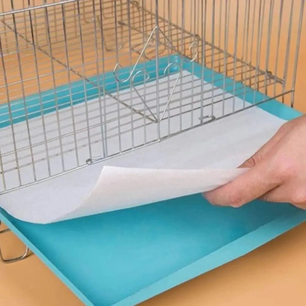 Papel Toalha Ultra Absorvente Xixipet - 50 unds - Direct Ofertas