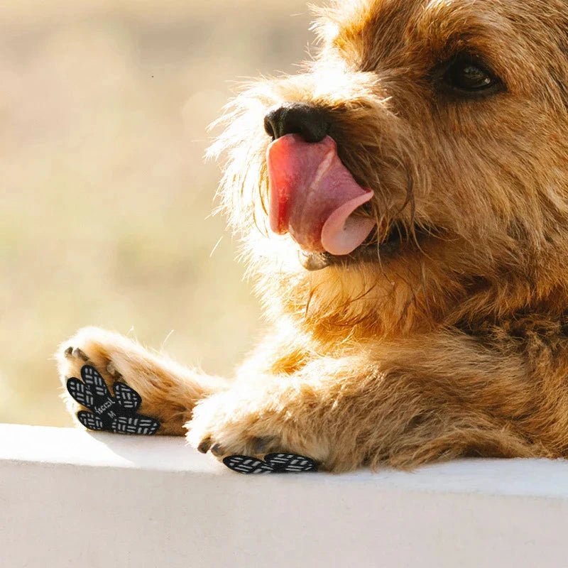 Protetor de Patas PetSafe™ | Antiderrapante e Respirável para Cães e Gatos - Direct Ofertas