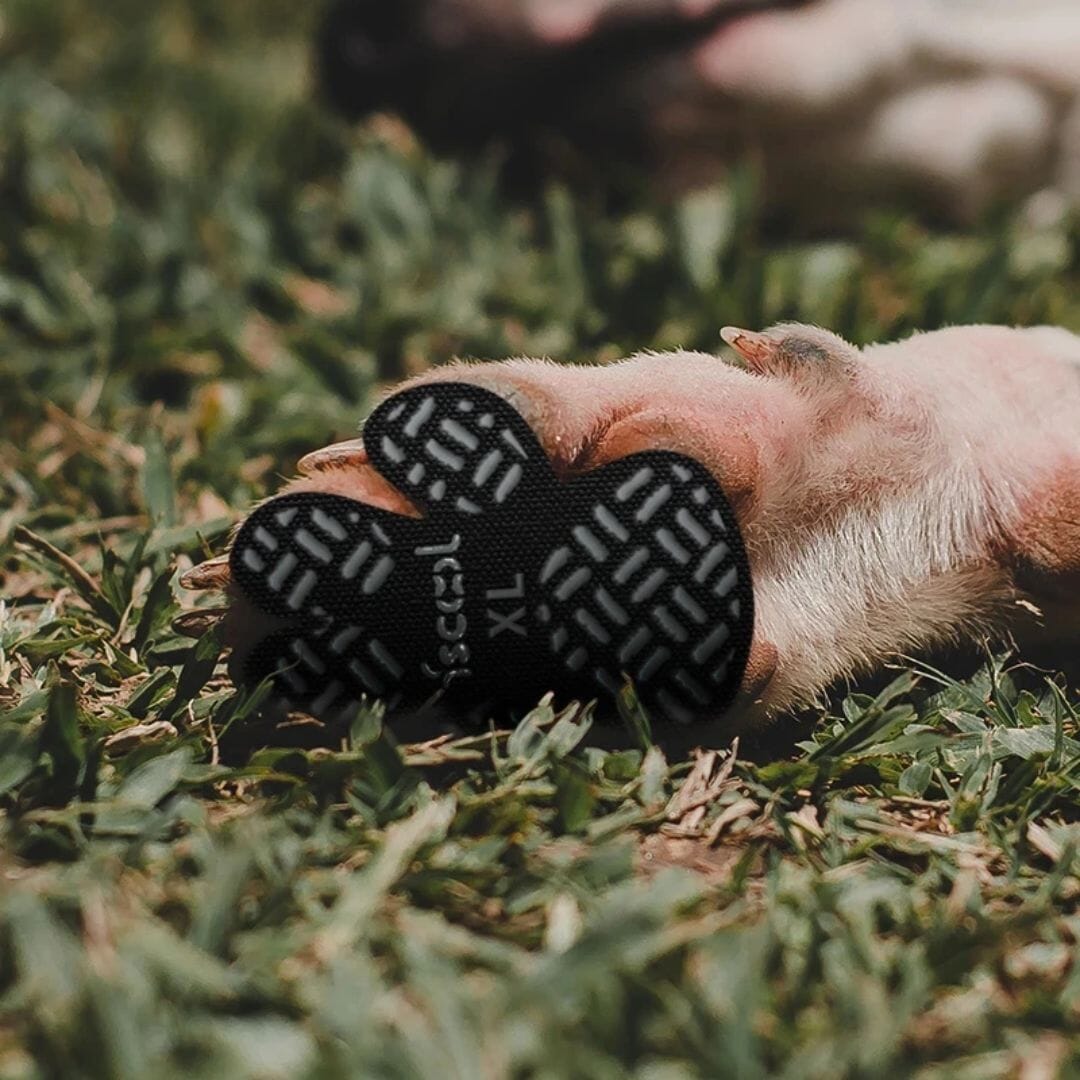 Protetor de Patas PetSafe™ | Antiderrapante e Respirável para Cães e Gatos - Direct Ofertas